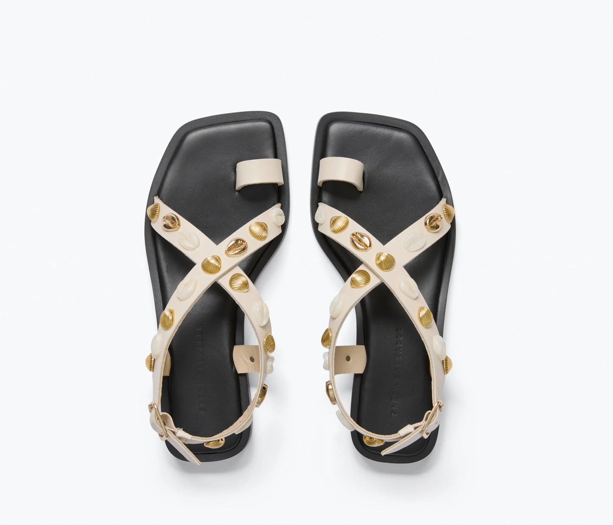 Freda Salvador - Paxton Sandal in Bone Calf w/ Gold Shells
