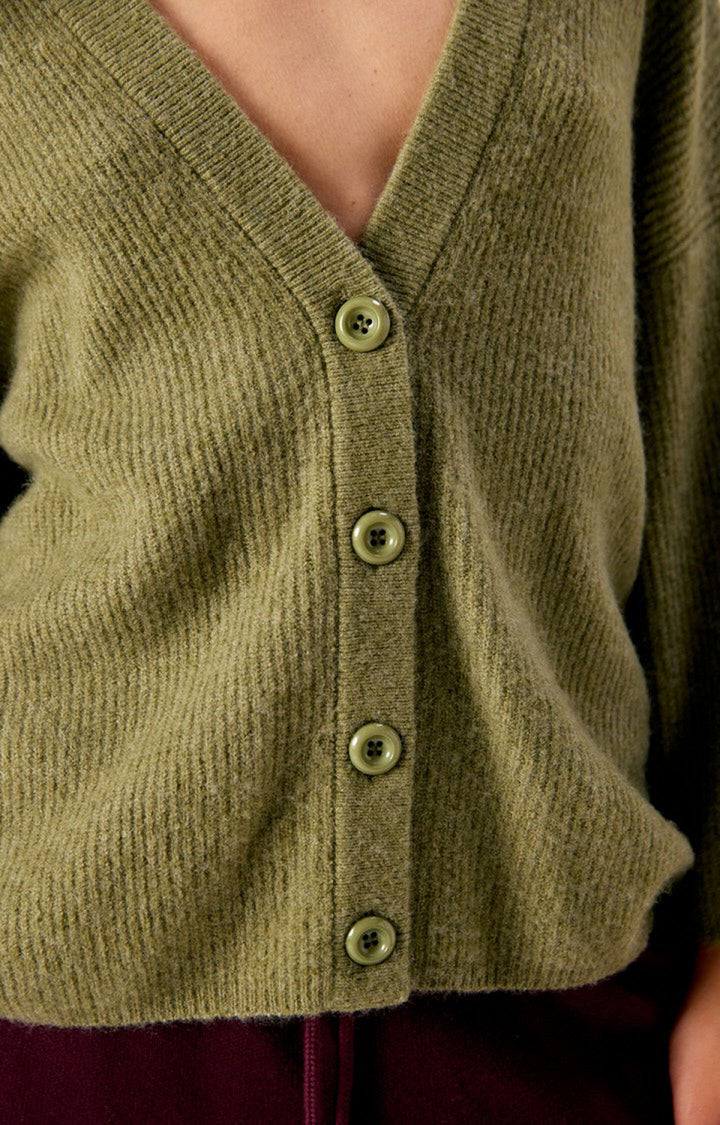 American Vintage Melange Lizard Damsville V-Neck Cardigan